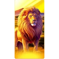 Lion
Safari